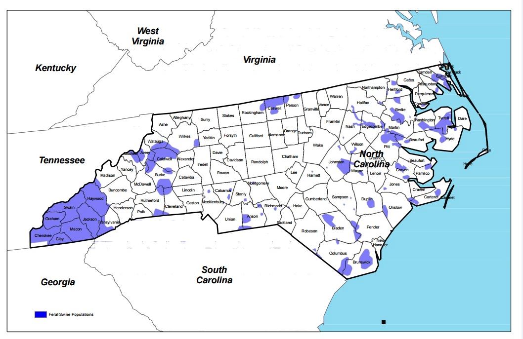 feral-swine-map-snipped